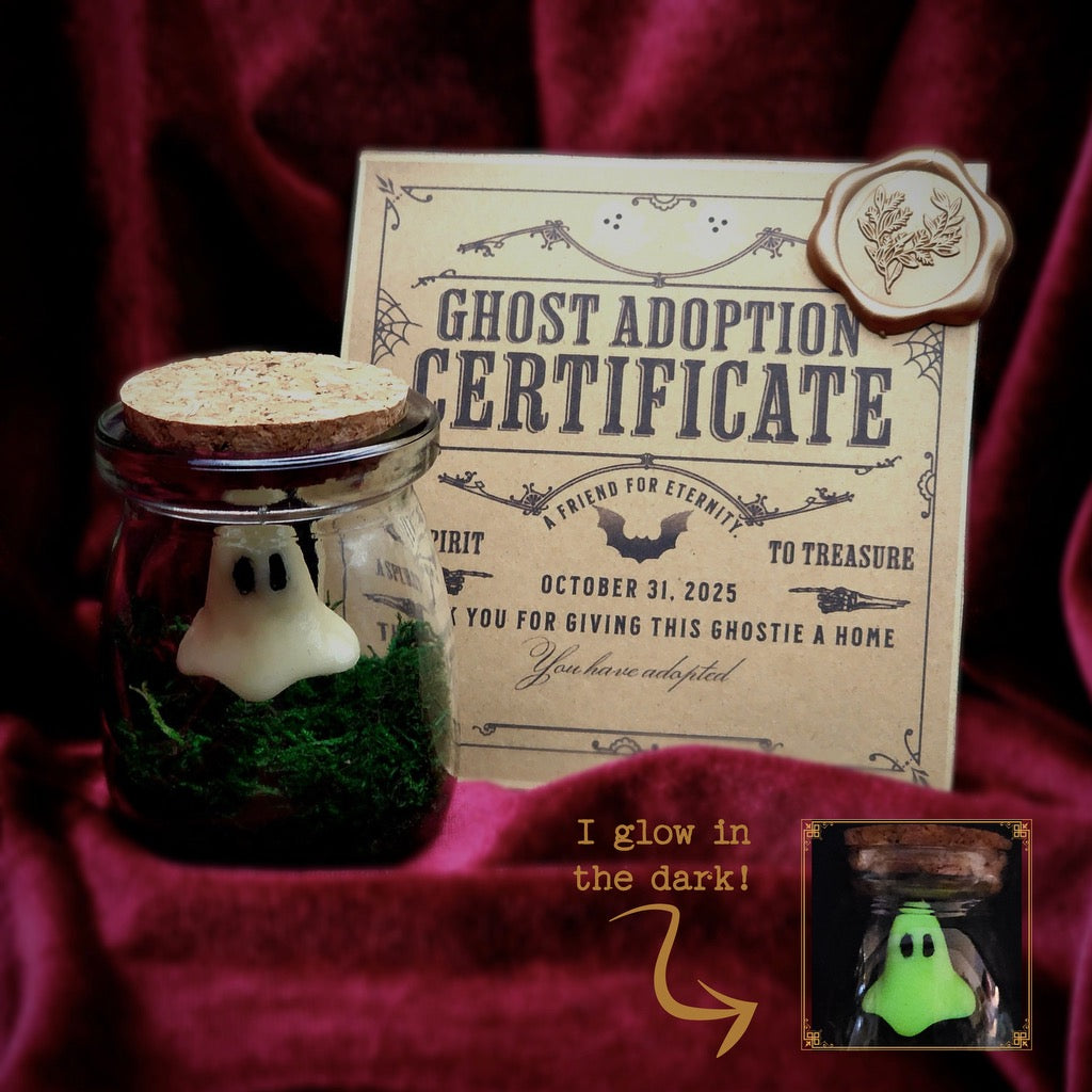 Large Halloween Blind Date With A Boo Book Box